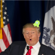 Trump Plans to Use Magic Skills to Eliminate National Debt